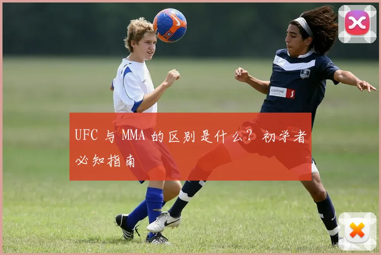 UFC 与 MMA 的区别是什么?初学者必知指南