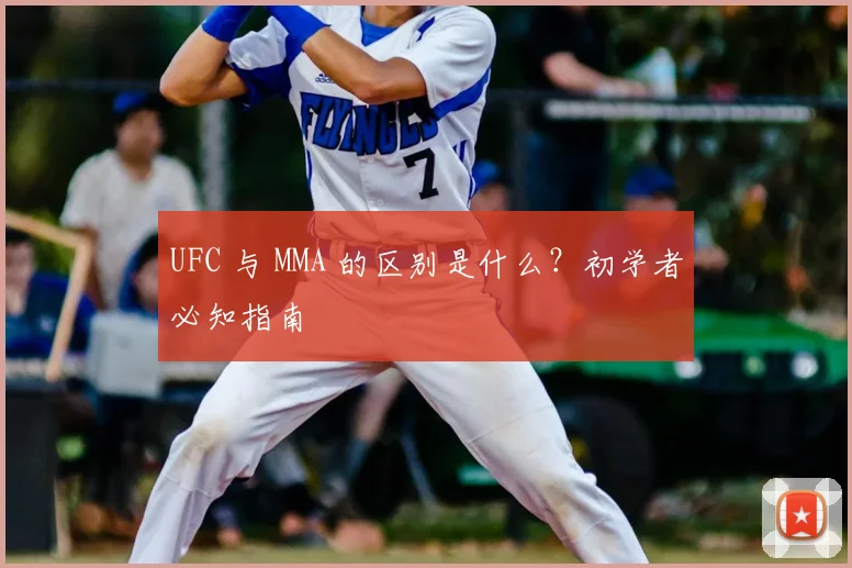 UFC 与 MMA 的区别是什么？初学者必知指南